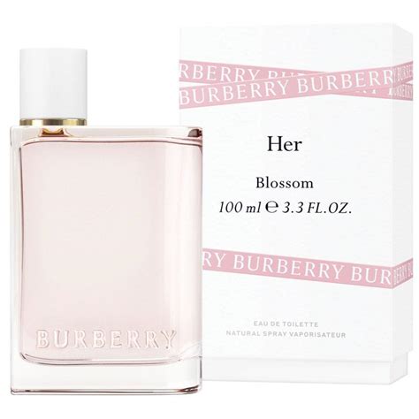 burberry blossom pink gloss|burberry her blossom chemist warehouse.